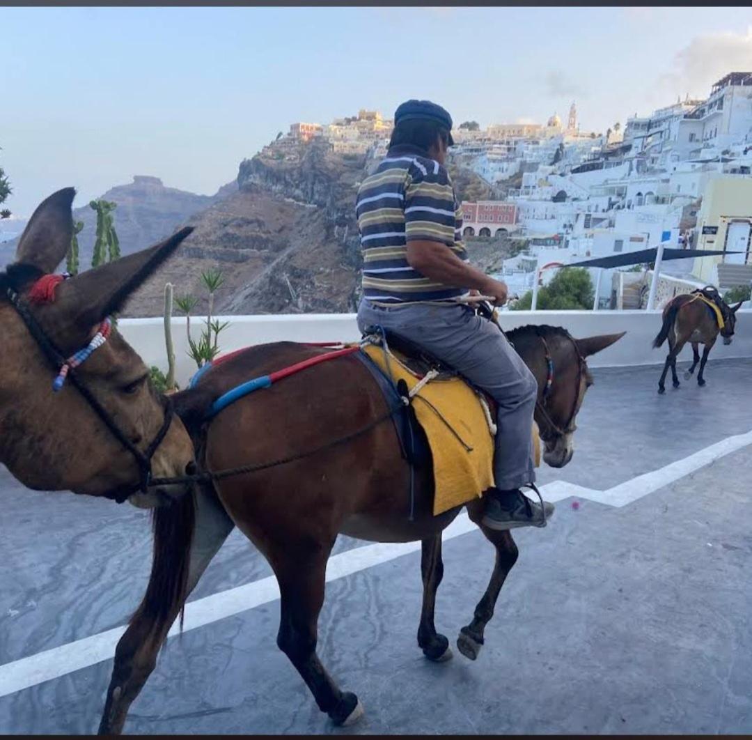Delion View Hotel Fira  Eksteriør billede